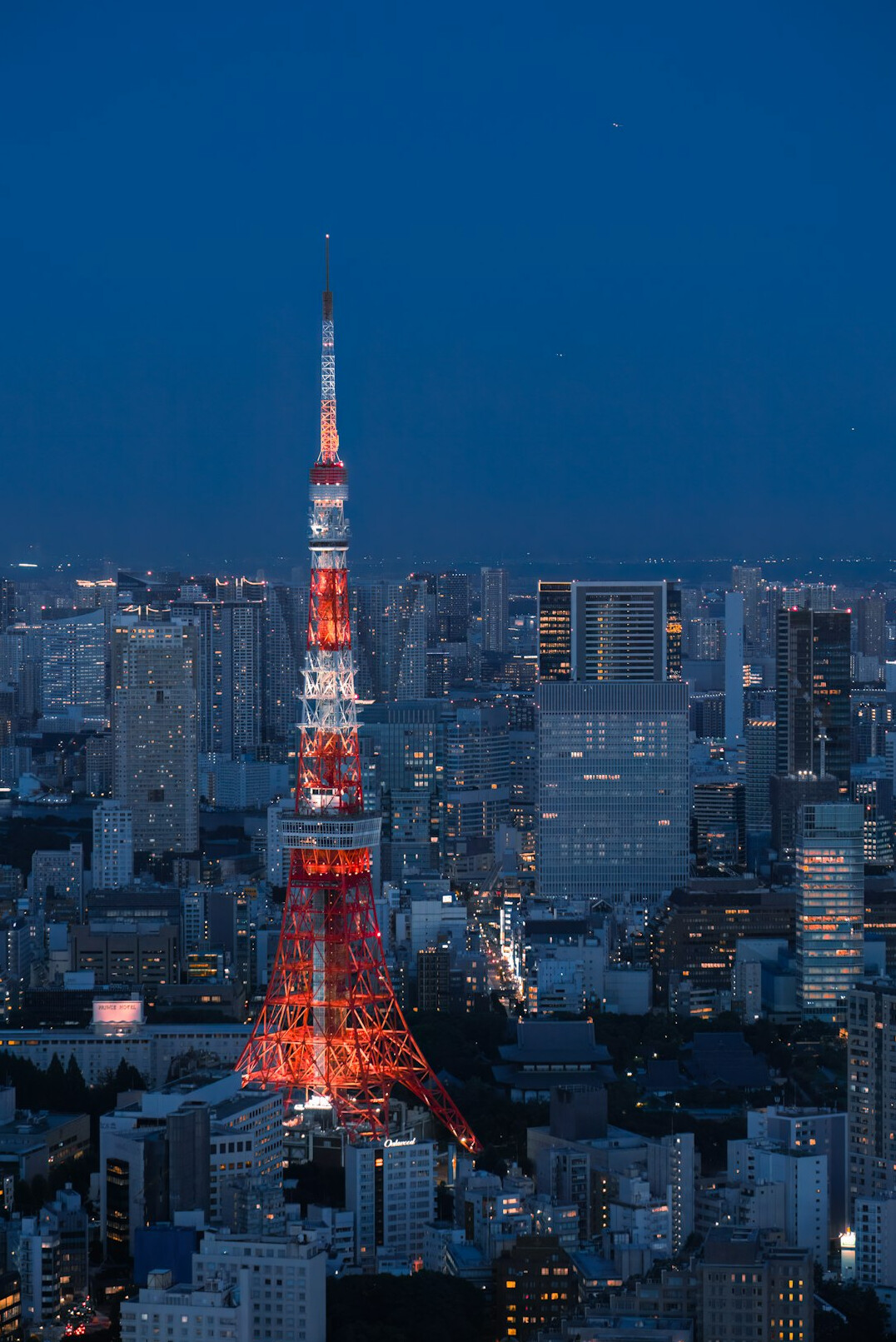 tokyo city lights at night